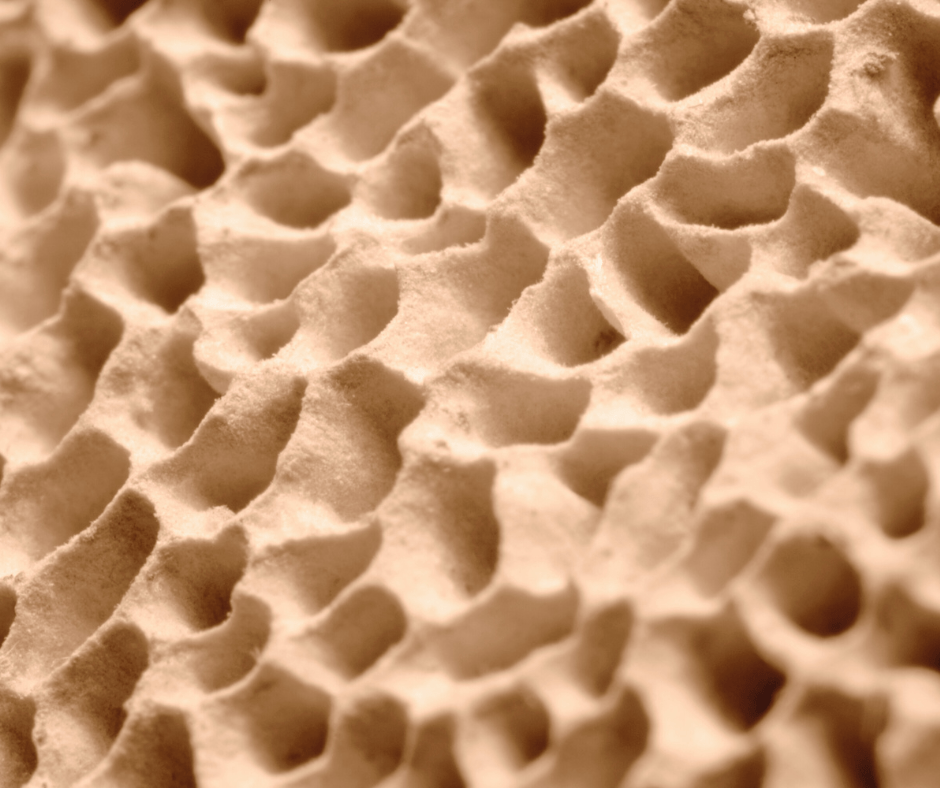 Los Mejores Productos para Minimizar Poros - KOEN JAPAN BEAUTY