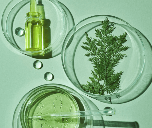 Cosmética vegana vs cosmética química - KOEN JAPAN BEAUTY