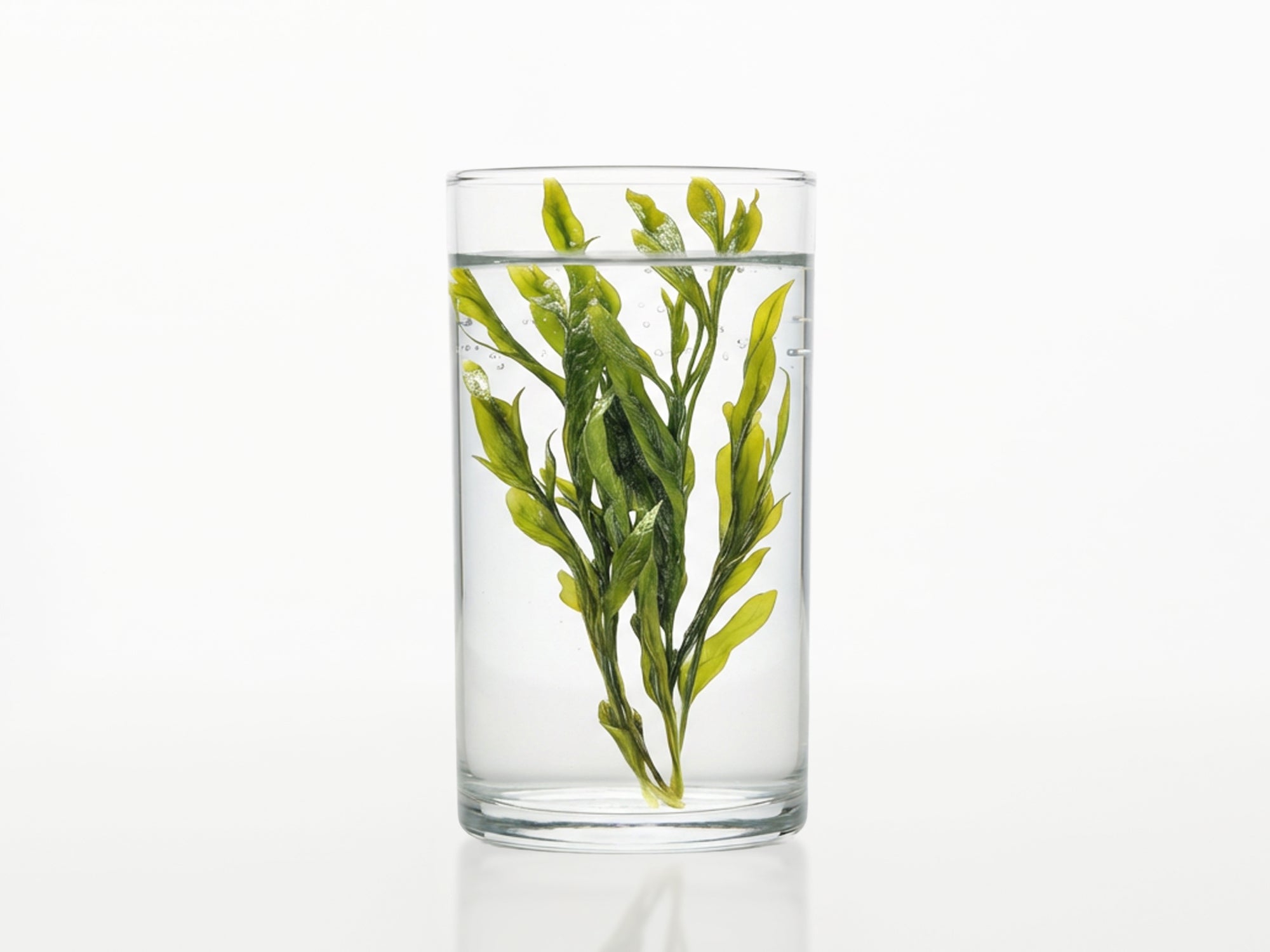 HANA | Crema reparadora pieles secas/normales - KOEN JAPAN BEAUTY