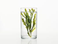 HANA | Crema reparadora pieles secas/normales - KOEN JAPAN BEAUTY