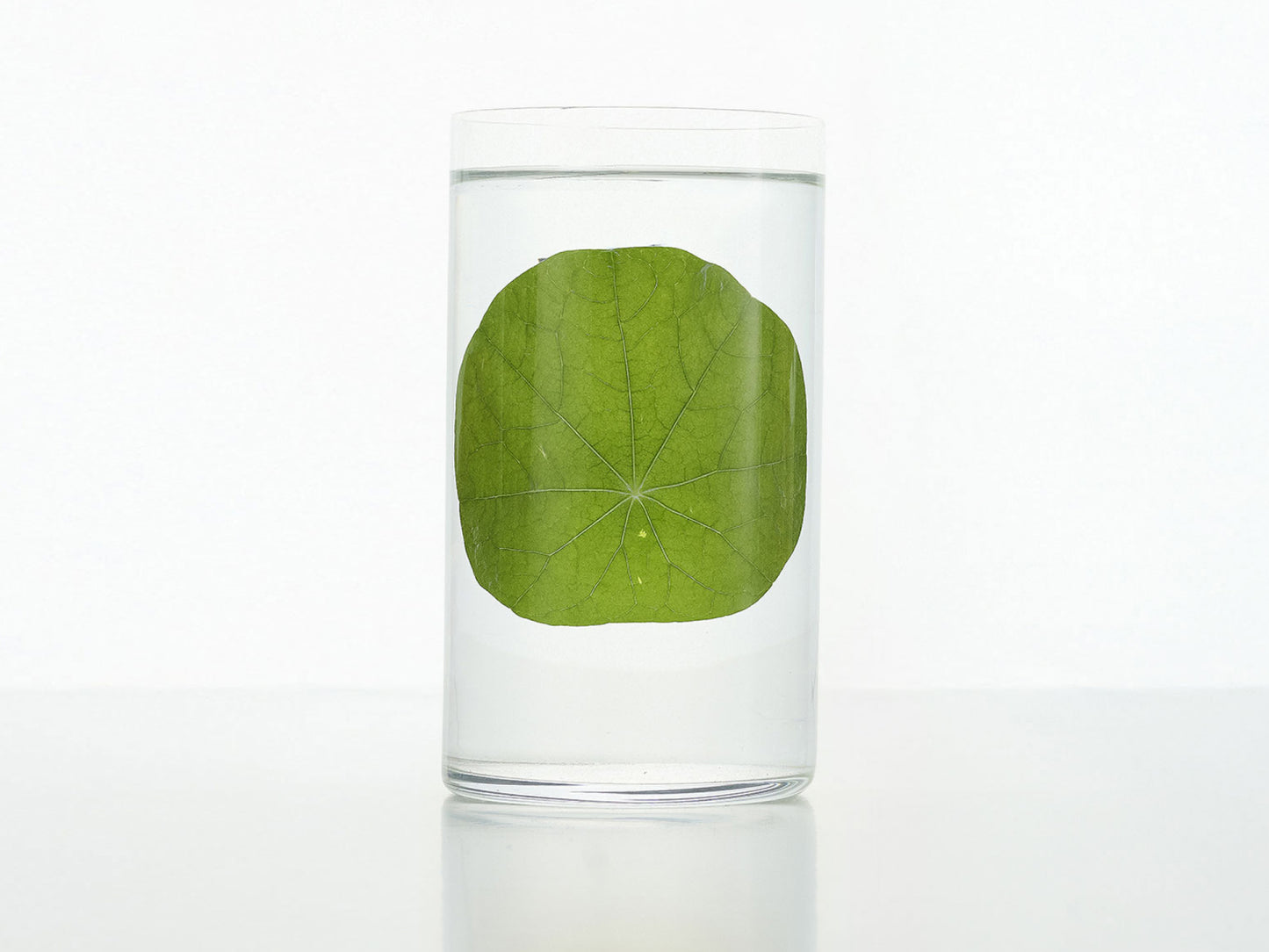 KIREI | Sérum antiedad y manchas - KOEN JAPAN BEAUTY